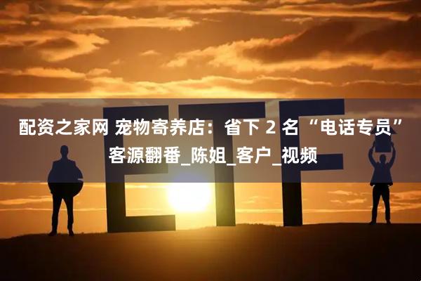 配资之家网 宠物寄养店：省下 2 名 “电话专员” 客源翻番_陈姐_客户_视频