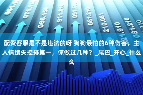 配资客服是不是违法的呀 狗狗最怕的6种伤害，主人情绪失控排第一，你做过几种？_尾巴_开心_什么