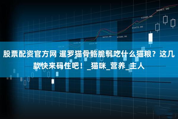 股票配资官方网 暹罗猫骨骼脆弱吃什么猫粮？这几款快来码住吧！_猫咪_营养_主人