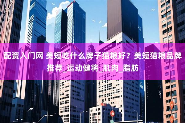 配资入门网 美短吃什么牌子猫粮好？美短猫粮品牌推荐_运动健将_肌肉_脂肪